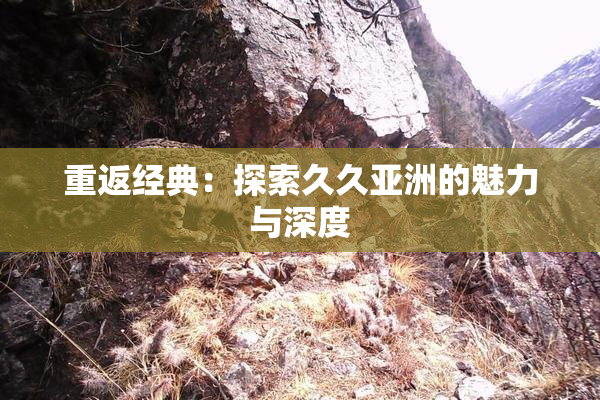 重返经典：探索久久亚洲的魅力与深度