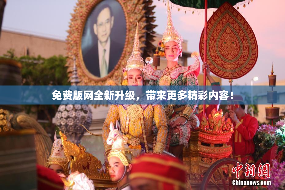 免费版网全新升级，带来更多精彩内容！