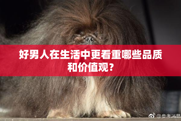 好男人在生活中更看重哪些品质和价值观？