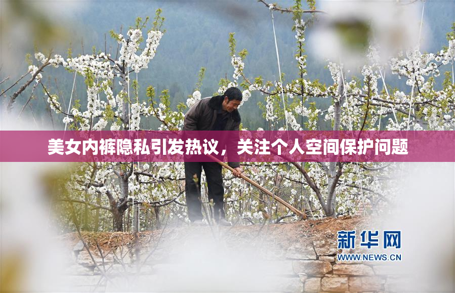 美女内裤隐私引发热议，关注个人空间保护问题