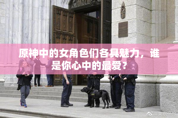 原神中的女角色们各具魅力，谁是你心中的最爱？