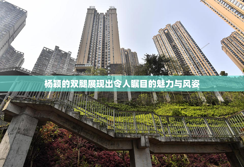 杨颖的双腿展现出令人瞩目的魅力与风姿