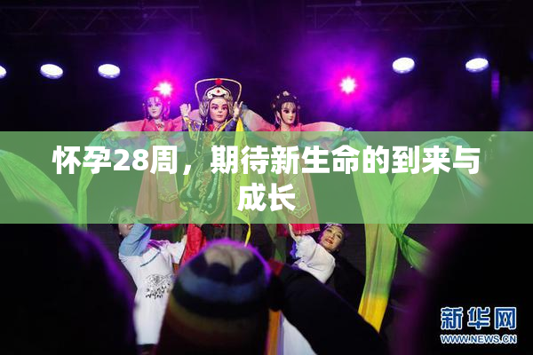 怀孕28周，期待新生命的到来与成长