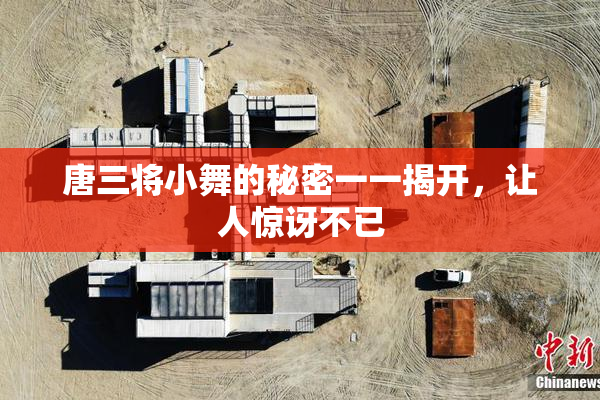 唐三将小舞的秘密一一揭开，让人惊讶不已