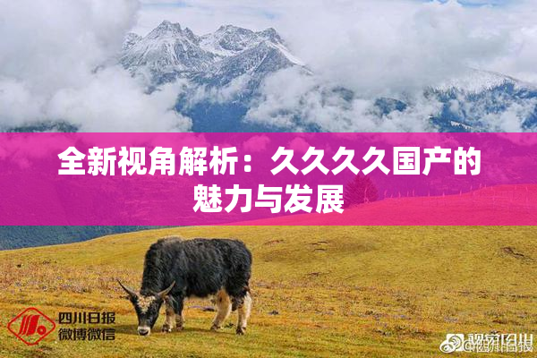 全新视角解析：久久久久国产的魅力与发展