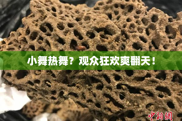 小舞热舞？观众狂欢爽翻天！
