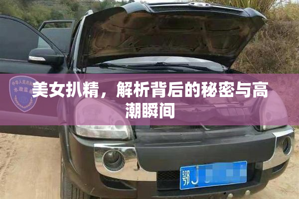 美女扒精，解析背后的秘密与高潮瞬间