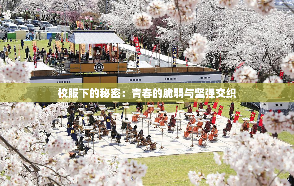 校服下的秘密：青春的脆弱与坚强交织