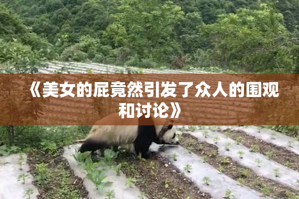 《美女的屁竟然引发了众人的围观和讨论》