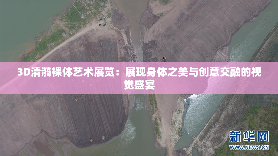 3D清漪裸体艺术展览：展现身体之美与创意交融的视觉盛宴