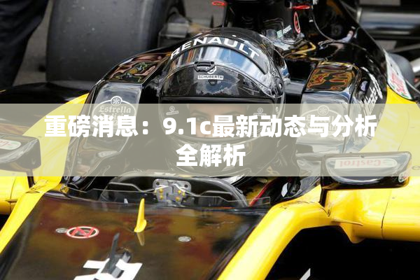 重磅消息：9.1c最新动态与分析全解析