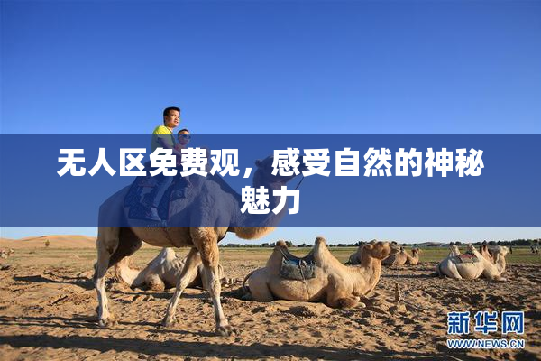 无人区免费观，感受自然的神秘魅力