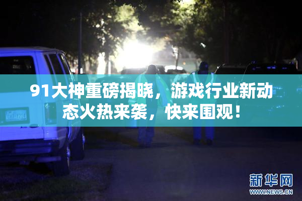 91大神重磅揭晓，游戏行业新动态火热来袭，快来围观！