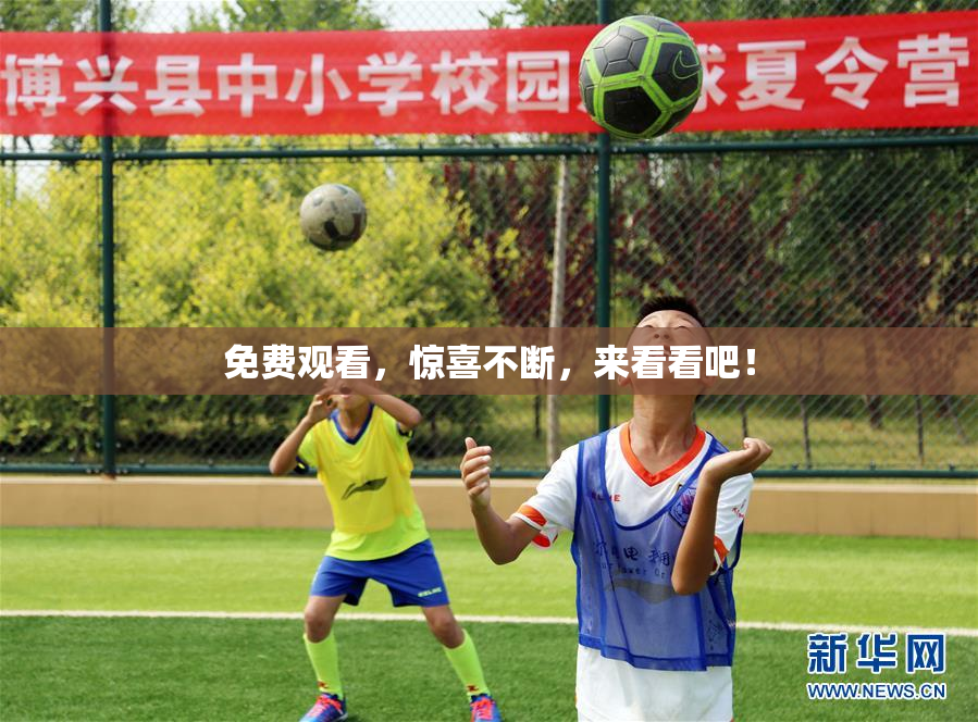 免费观看，惊喜不断，来看看吧！