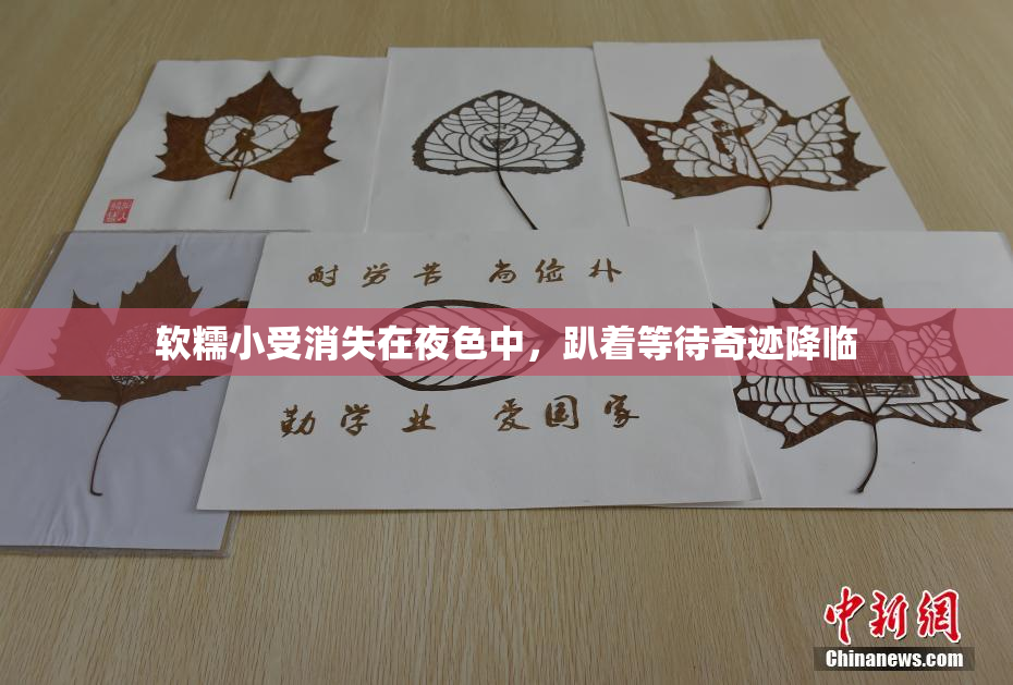 软糯小受消失在夜色中，趴着等待奇迹降临