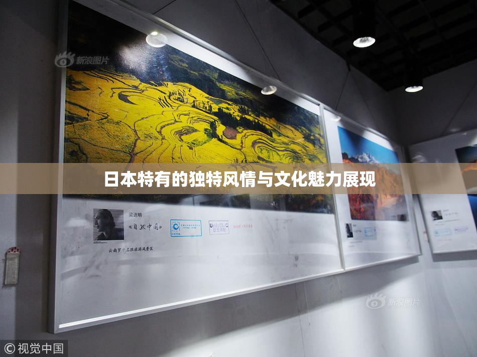 日本特有的独特风情与文化魅力展现