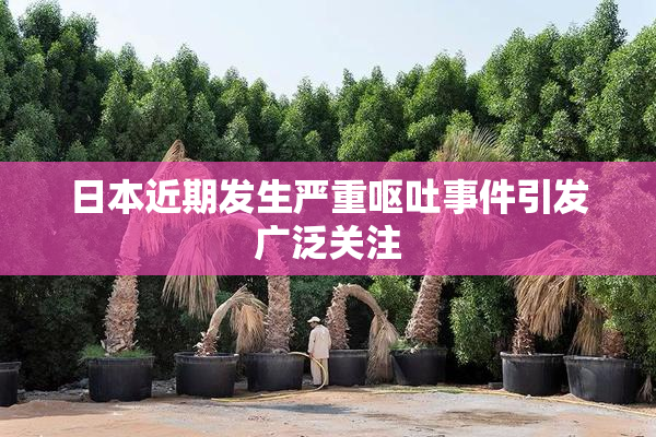 日本近期发生严重呕吐事件引发广泛关注