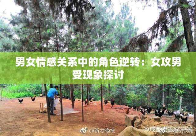 男女情感关系中的角色逆转：女攻男受现象探讨