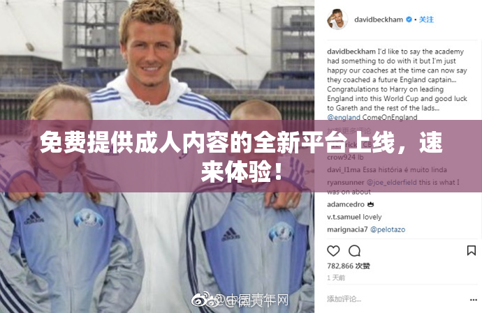 免费提供成人内容的全新平台上线，速来体验！
