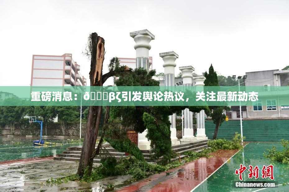 重磅消息：👙βζ引发舆论热议，关注最新动态