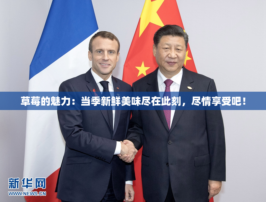草莓的魅力：当季新鲜美味尽在此刻，尽情享受吧！