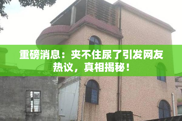 重磅消息：夹不住尿了引发网友热议，真相揭秘！