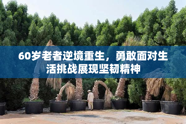 60岁老者逆境重生，勇敢面对生活挑战展现坚韧精神
