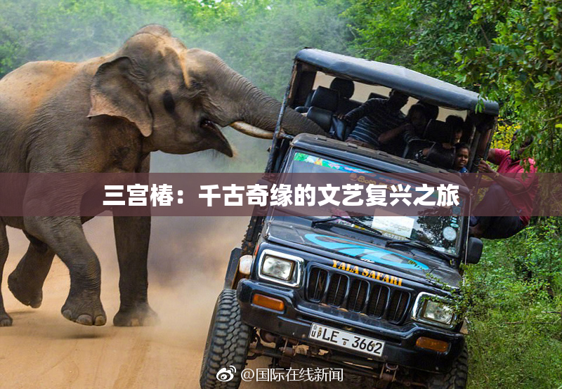 三宫椿：千古奇缘的文艺复兴之旅