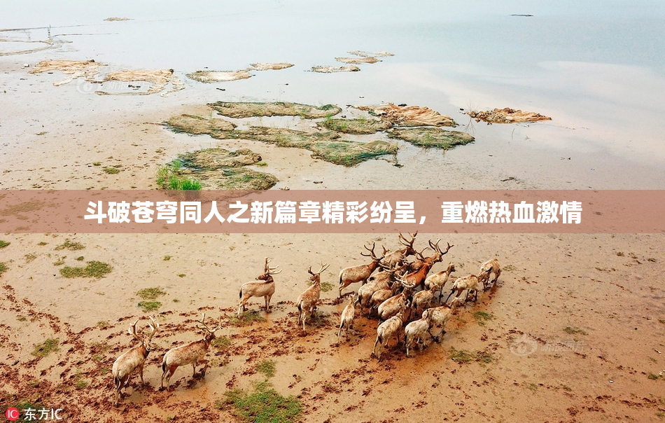 斗破苍穹同人之新篇章精彩纷呈，重燃热血激情