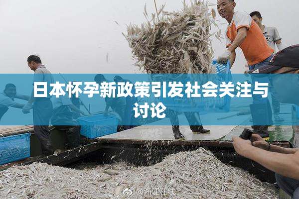 日本怀孕新政策引发社会关注与讨论