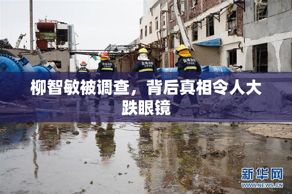 柳智敏被调查，背后真相令人大跌眼镜