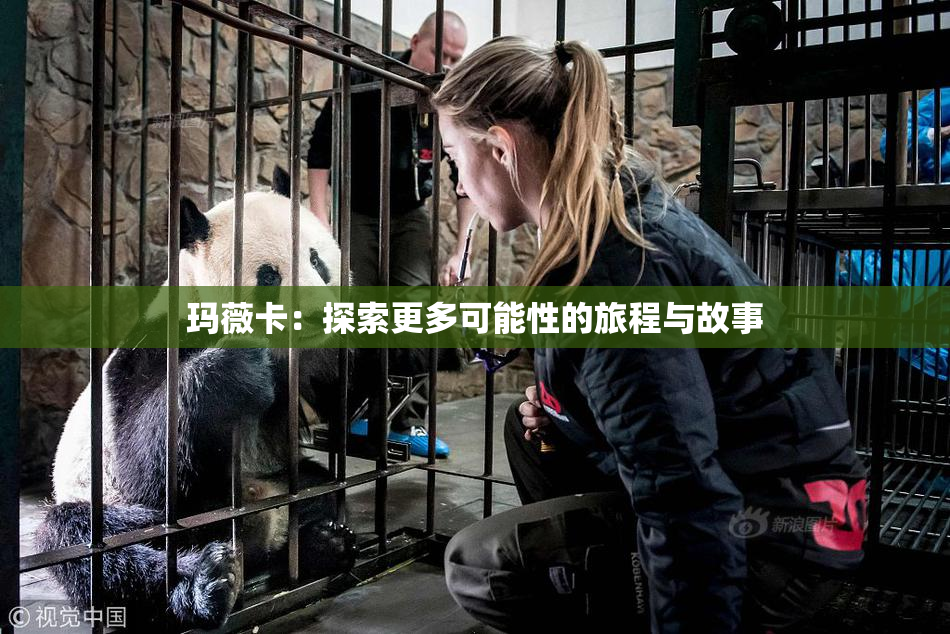 玛薇卡：探索更多可能性的旅程与故事