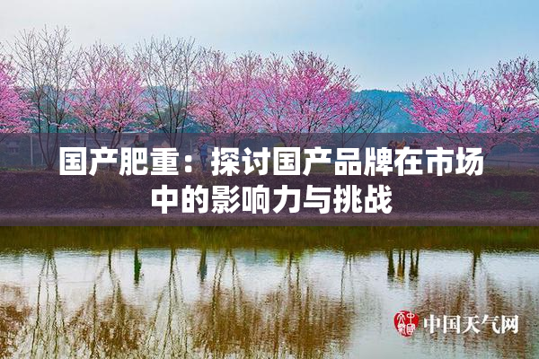 国产肥重：探讨国产品牌在市场中的影响力与挑战