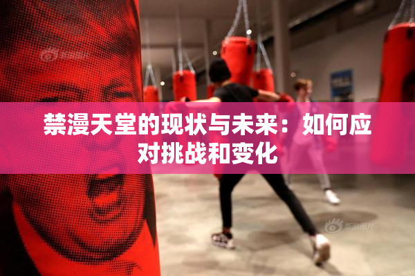 禁漫天堂的现状与未来：如何应对挑战和变化