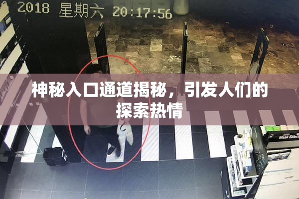 神秘入口通道揭秘，引发人们的探索热情