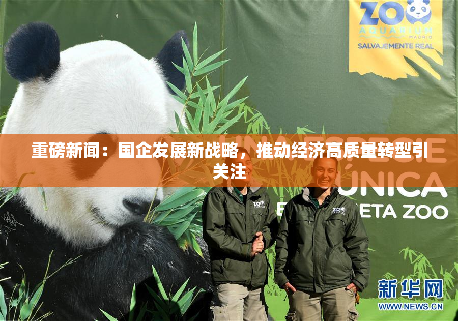 重磅新闻：国企发展新战略，推动经济高质量转型引关注