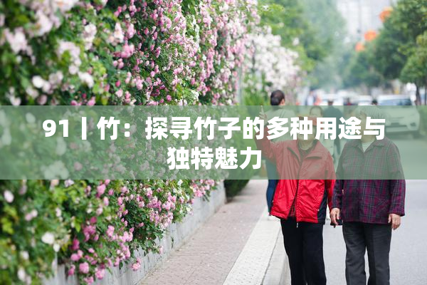 91丨竹：探寻竹子的多种用途与独特魅力