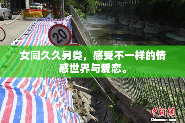 女同久久另类，感受不一样的情感世界与爱恋。