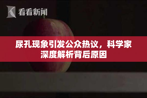 尿孔现象引发公众热议，科学家深度解析背后原因