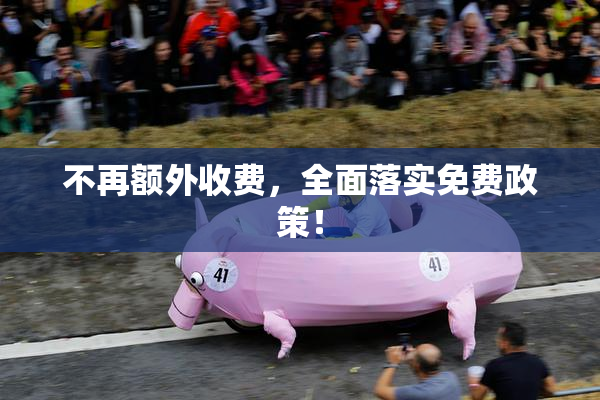 不再额外收费，全面落实免费政策！