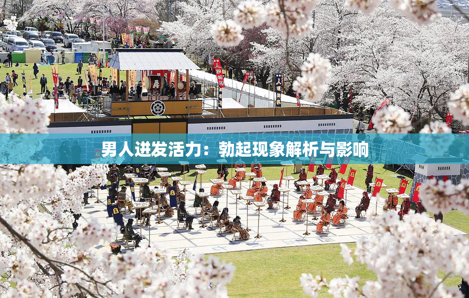 男人迸发活力：勃起现象解析与影响