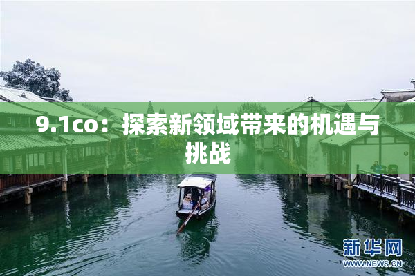9.1co：探索新领域带来的机遇与挑战