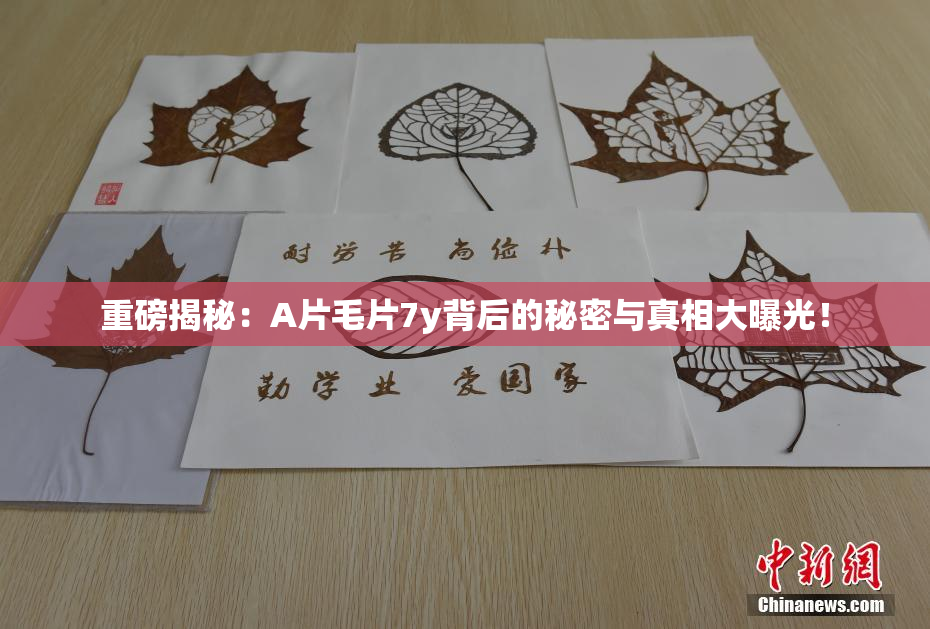 重磅揭秘：A片毛片7y背后的秘密与真相大曝光！