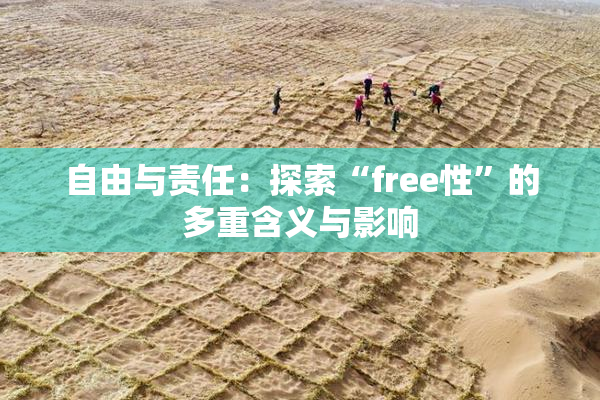 自由与责任：探索“free性”的多重含义与影响
