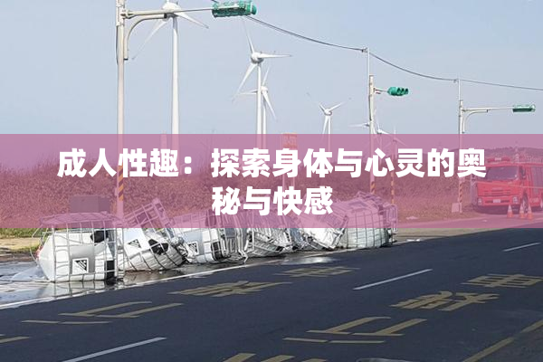 成人性趣：探索身体与心灵的奥秘与快感
