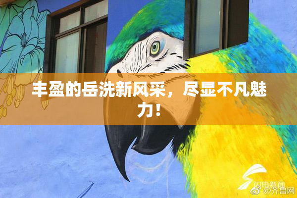 丰盈的岳洗新风采，尽显不凡魅力！