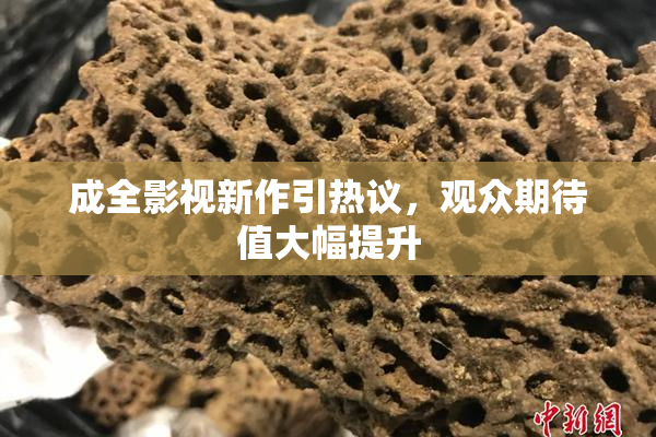 成全影视新作引热议，观众期待值大幅提升
