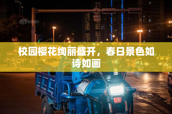 校园樱花绚丽盛开，春日景色如诗如画