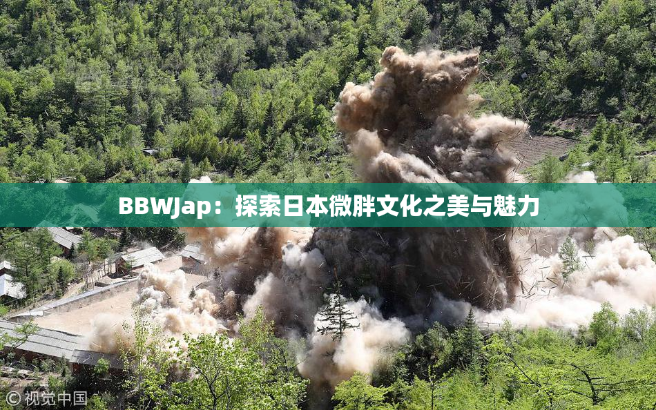BBWJap：探索日本微胖文化之美与魅力
