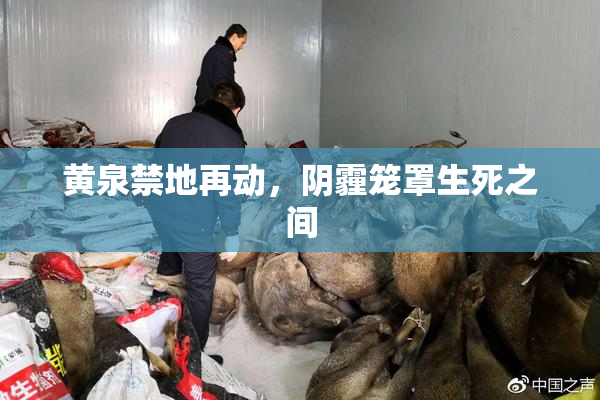黄泉禁地再动，阴霾笼罩生死之间